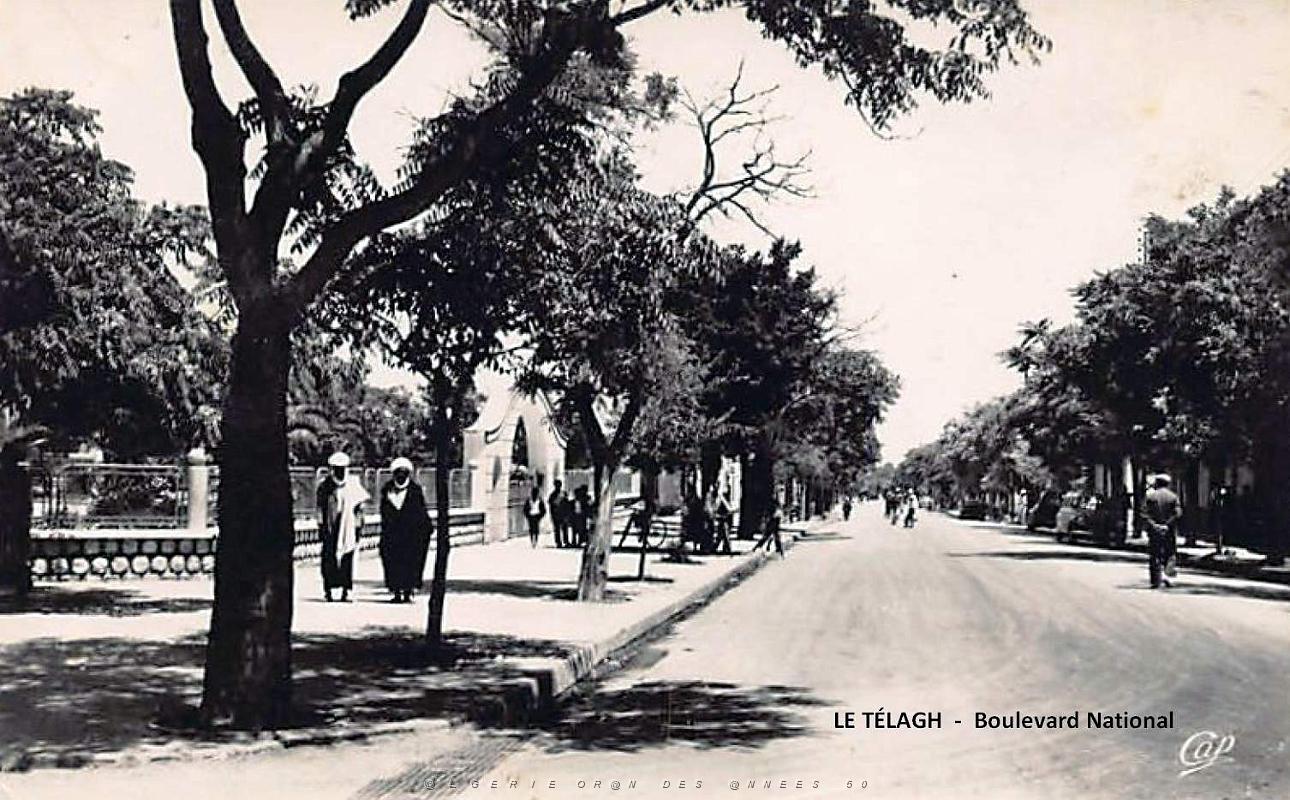 Le Telagh - Boulevard National.jpg